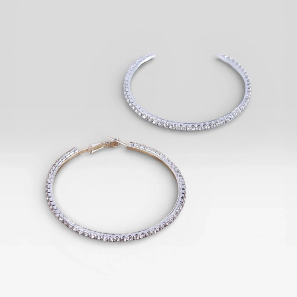 Elegant Silver Hoop Earrings